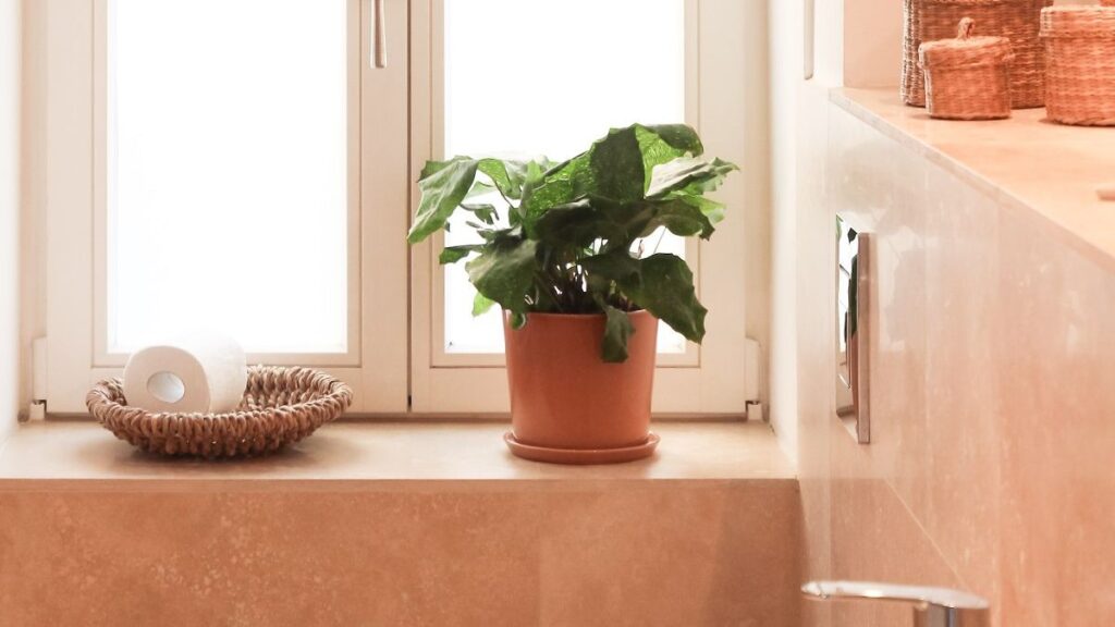 Tips voor het restylen van je toilet met een klein budget - Decoratie in toiletruimte