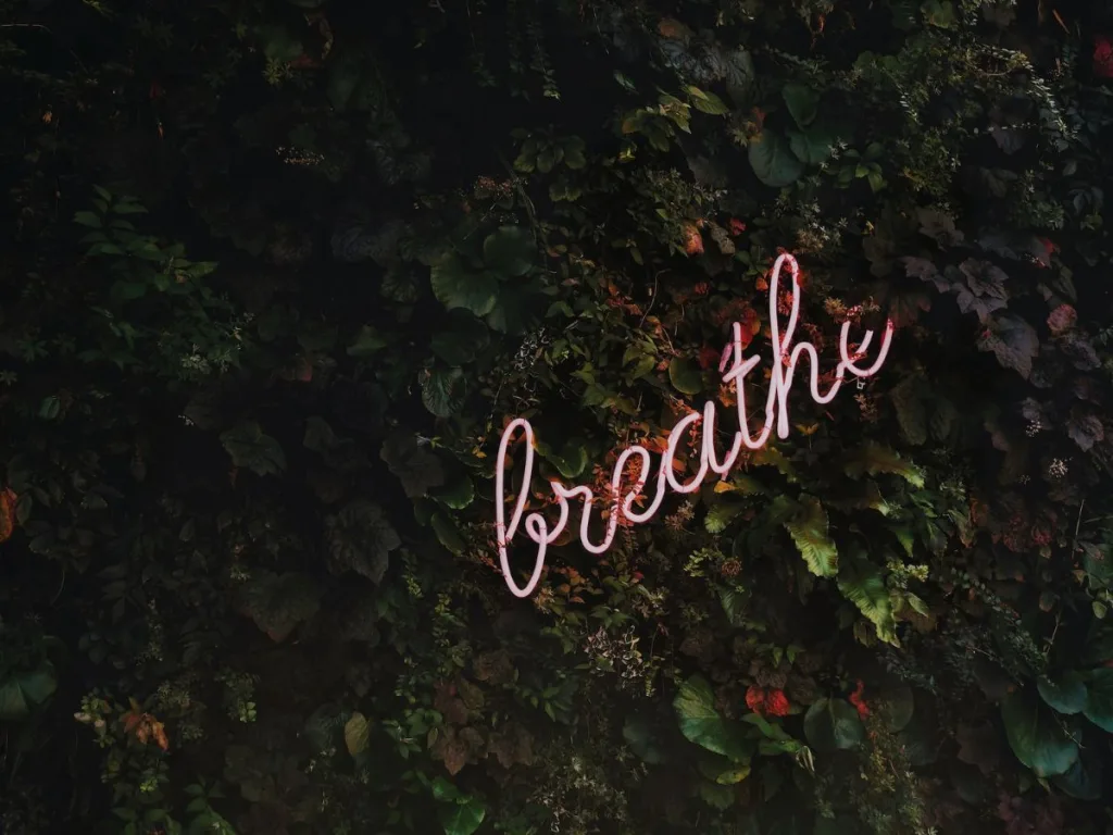 Wand met planten en een tekst dat zegt breath
