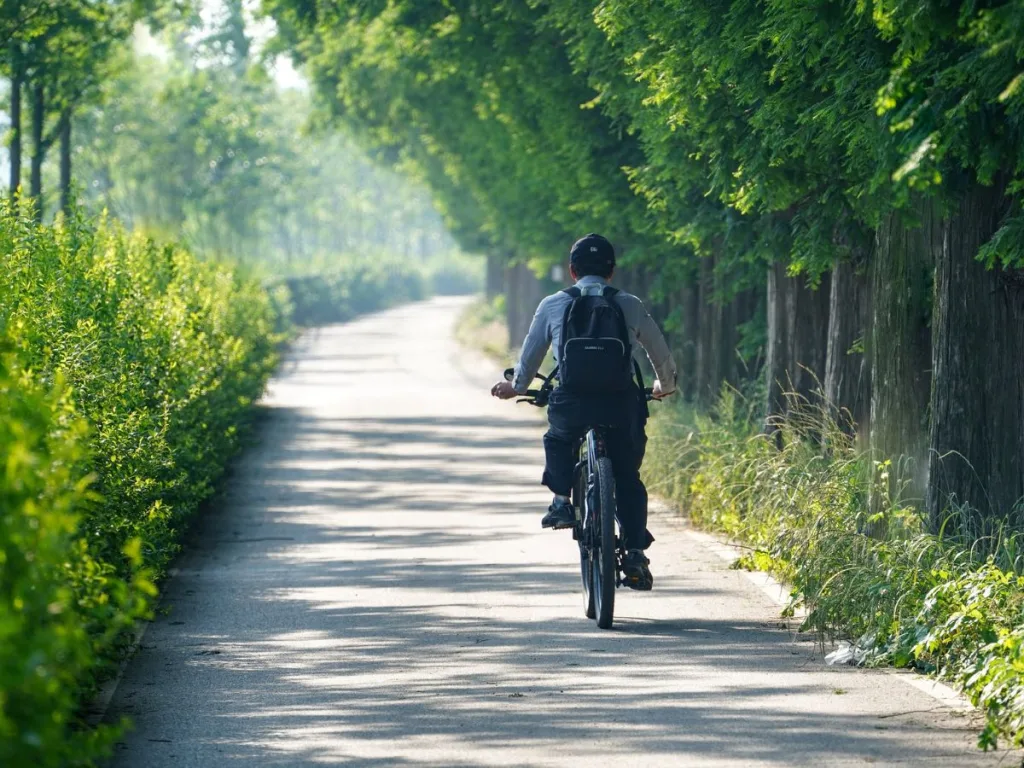 Man op de fiets rijdt langs een bosrand