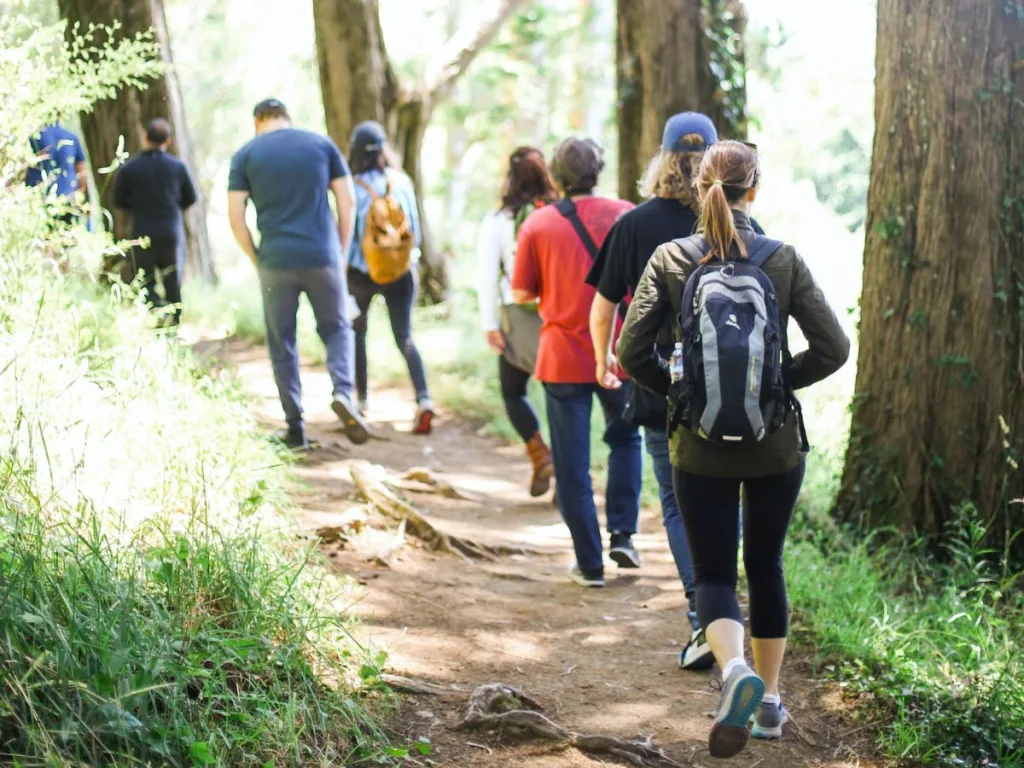 Groep mensen lopen over een bospad tijdens een lange wandeling