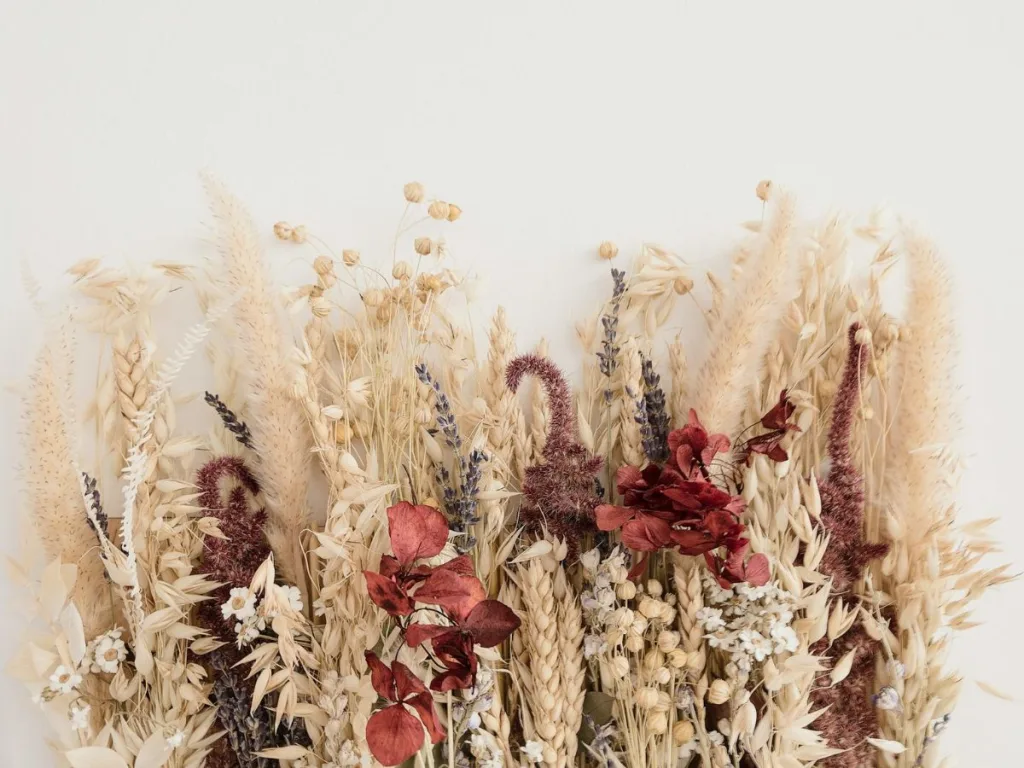 Losse droogbloemen met gele, rode en paarse tinten op een lichte achtergrond