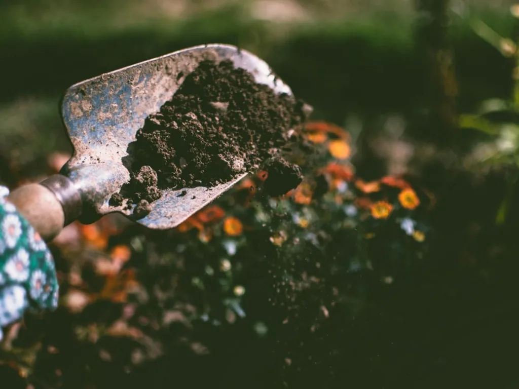 Schepje met tuinaarde en mulch in een onderhoudsvriendelijke tuin