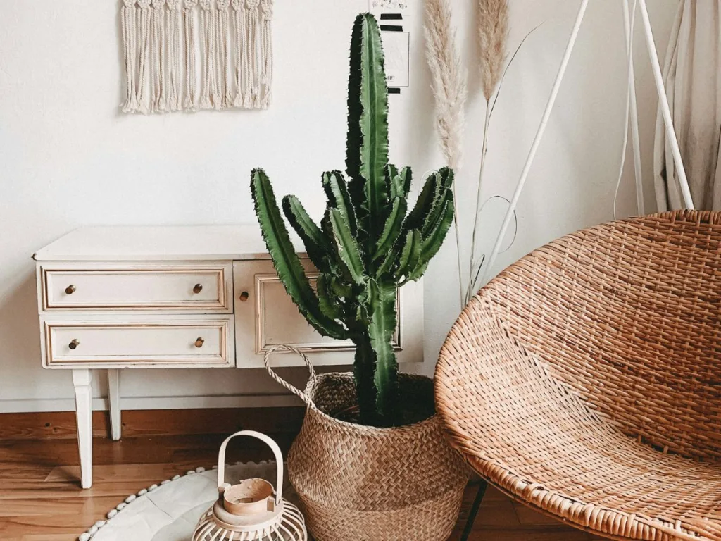 Kunstplant in de vorm van een grote cactus in een bohemian interieur met een rieten stoel en een wit dressoir erachter