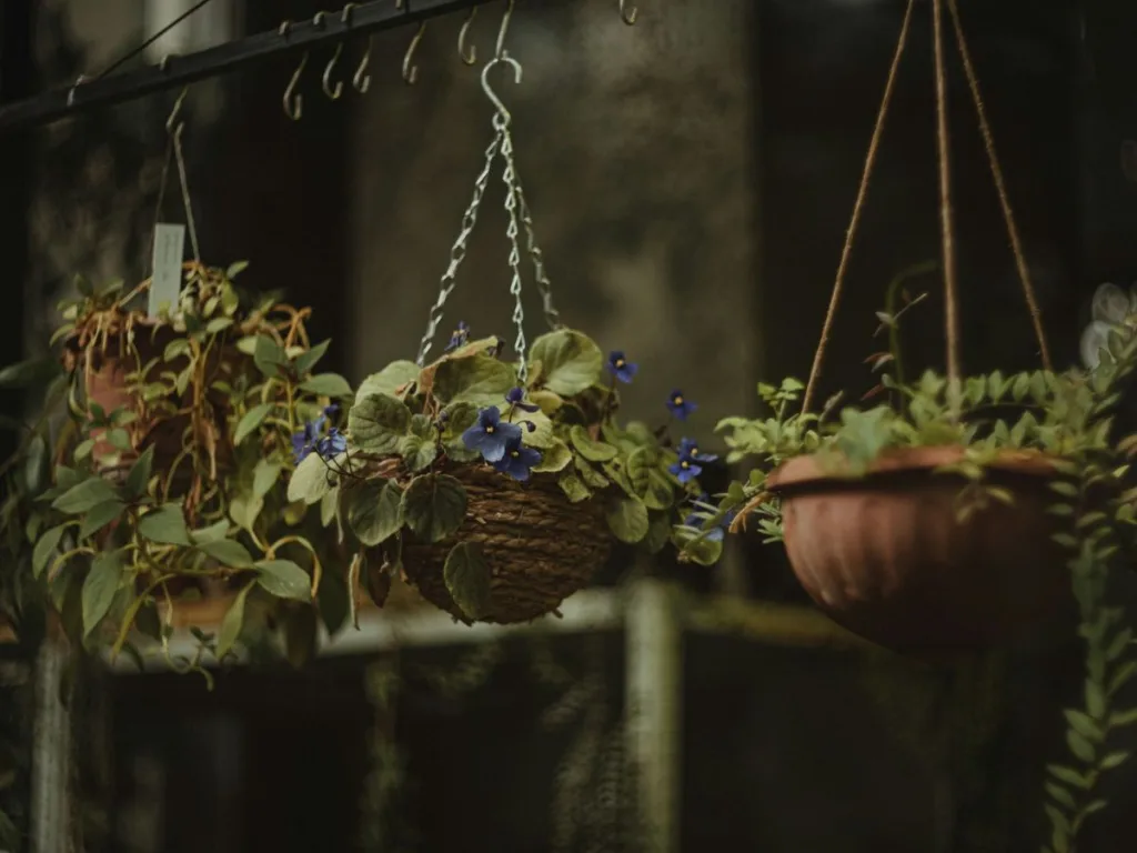 8 tips om je tuin gezellig te maken