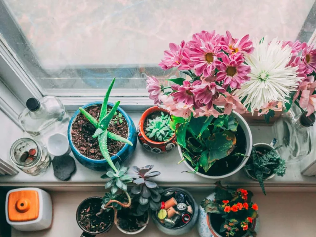 Simpel uit te voeren tips voor extra privacy in huis