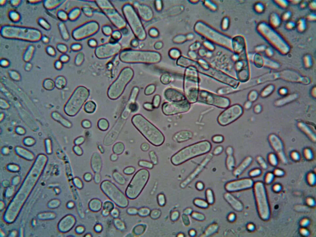 Wat houdt microbiologisch luchtonderzoek in?