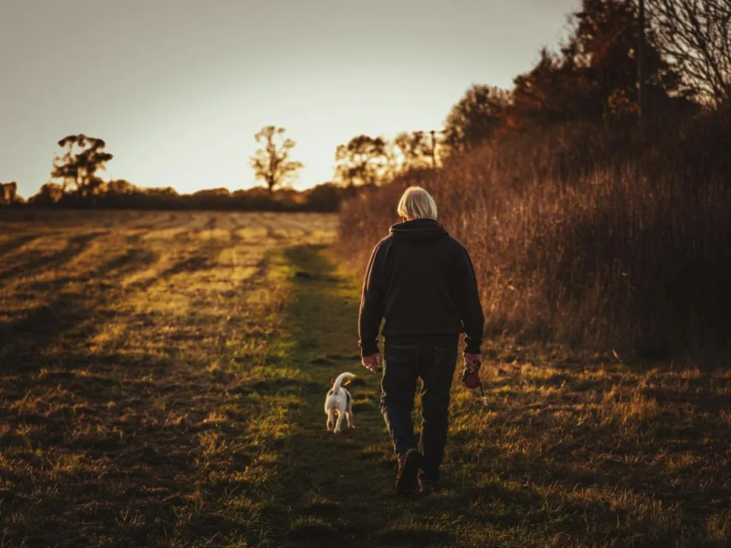 Redenen waarom wandelen in september erg goed is voor je